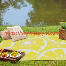 Why Choose Aiyisi PP Picnic Mat for Short Getaways