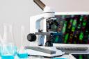 Can One Clinical Centrifuge Handle Multiple Blood Tube Sizes?