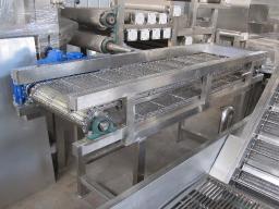 Fruit and Vegetable Sorting Machines
