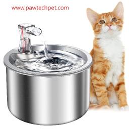 How Pawtechpet Cat Water Fountain Supports Daily Harmony