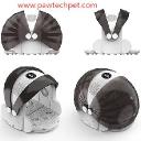 Can Pawtechpet Pet Dryer Enhance Coat Health?