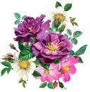 How We Think About Wedding Florals (And Why Most Studios Get It Wrong)