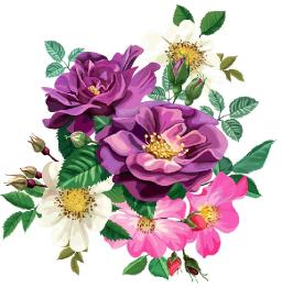 How We Think About Wedding Florals (And Why Most Studios Get It Wrong)