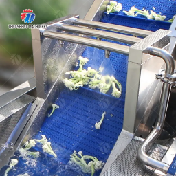 Why Every Food Business Needs a Fruit and Vegetable Washing Machine