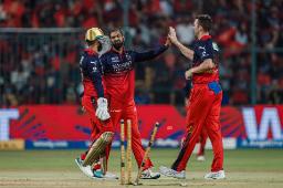 IPL Cricket ID Login Why Tigerxplay & Tigerinsightx Are Becoming Popular Among Cricket Fans