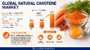 Why Is Natural Carotene Critical for Nutraceuticals and Clinical Nutrition Applications?