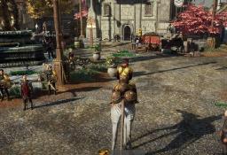 MMOEXP Ashes of Creation Gold: Key Features and What to Expect