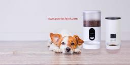 Smart Pet Care:Pawtechpet's Innovative Solutions