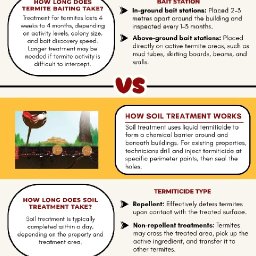 Termite Baiting vs Soil Treatment What&rsquo;s Best for Your Home.jpg