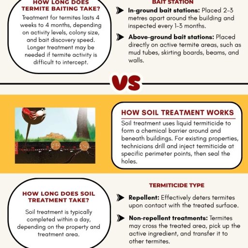 Termite Baiting vs Soil Treatment: What&rsquo;s Best for Your Home? 