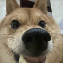 Yuhuanbeiye